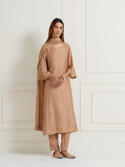 GOLDEN BROWN EMBROIDERED CHANDERI DUPATTA